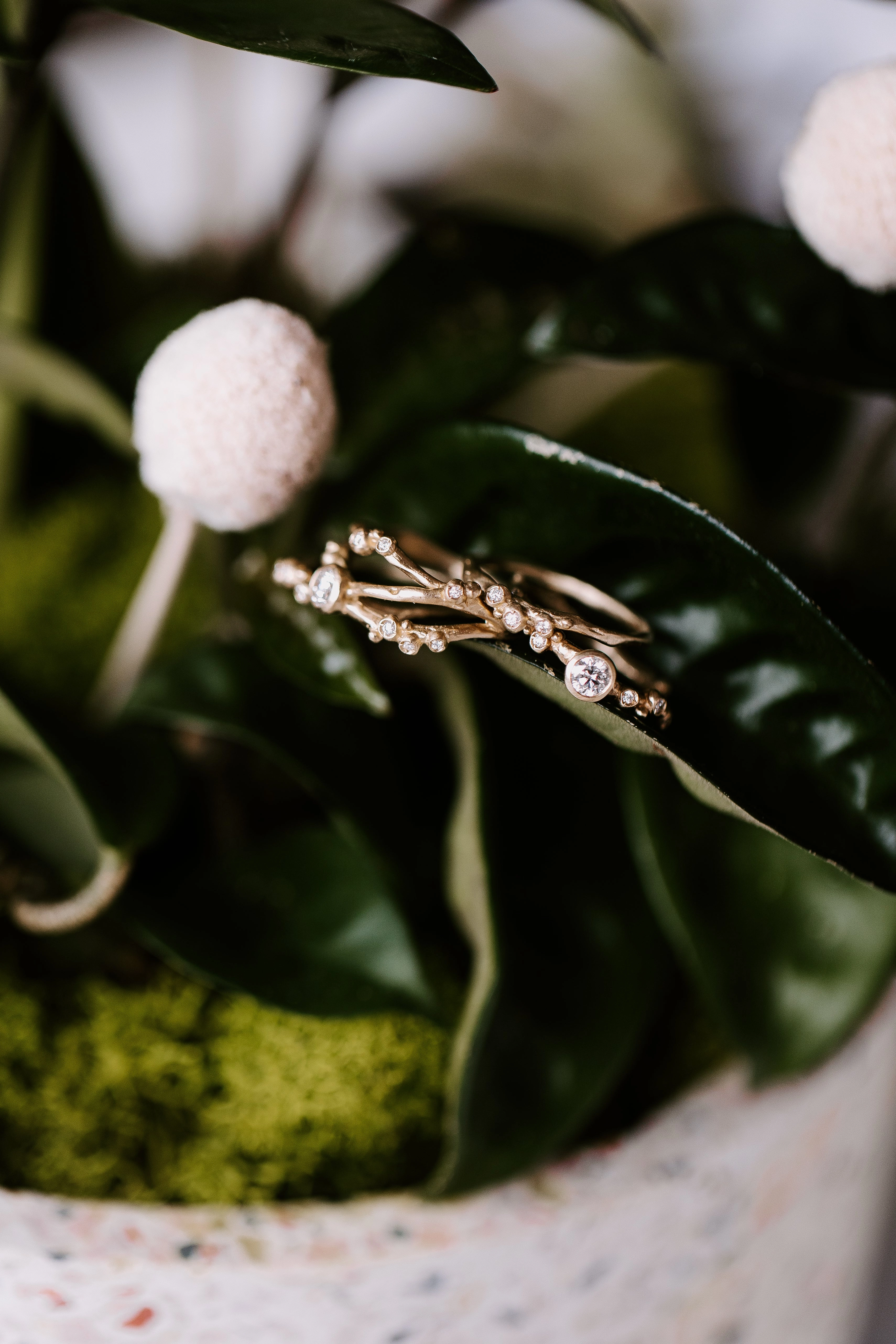 Ornate Art Encrusted 1 Branch Solitaire Diamond Ring - 14k Gold   Diamonds