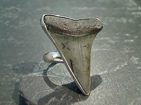 Beauty Element Timeless Style Adjustable Size Fossil Shark Tooth, Fine Sterling Silver Ring