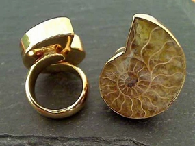 Soft Lighting Sculptural Feel Fossil Ammonite, Alchemia Ring - Adj. Size