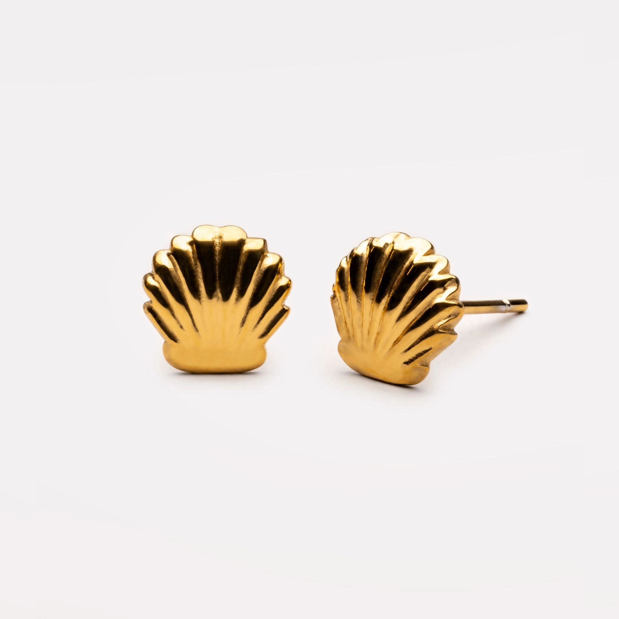 Shell Stud Earrings Trendy Appeal Gentle Finish