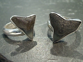 Tasteful Accent Sophisticated Design Finish Adjustable Size Fossil Shark Tooth, Fine Sterling Silver Ring