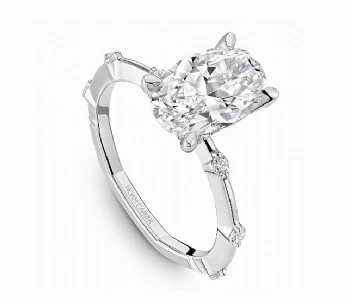 Noam Carver Oval Center Hidden Halo Diamond Engagement Ring Setting in 14K White Gold (0.21ctw) Shiny Expression