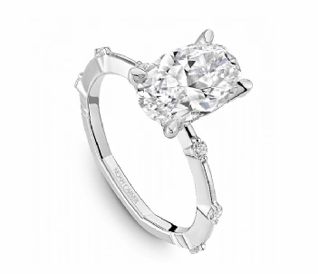 Noam Carver Oval Center Hidden Halo Diamond Engagement Ring Setting in 14K White Gold (0.21ctw) Creative Bauble
