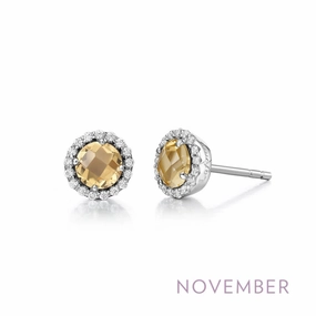 November Birthstone Earrings Cozy Glow Classic Fashion