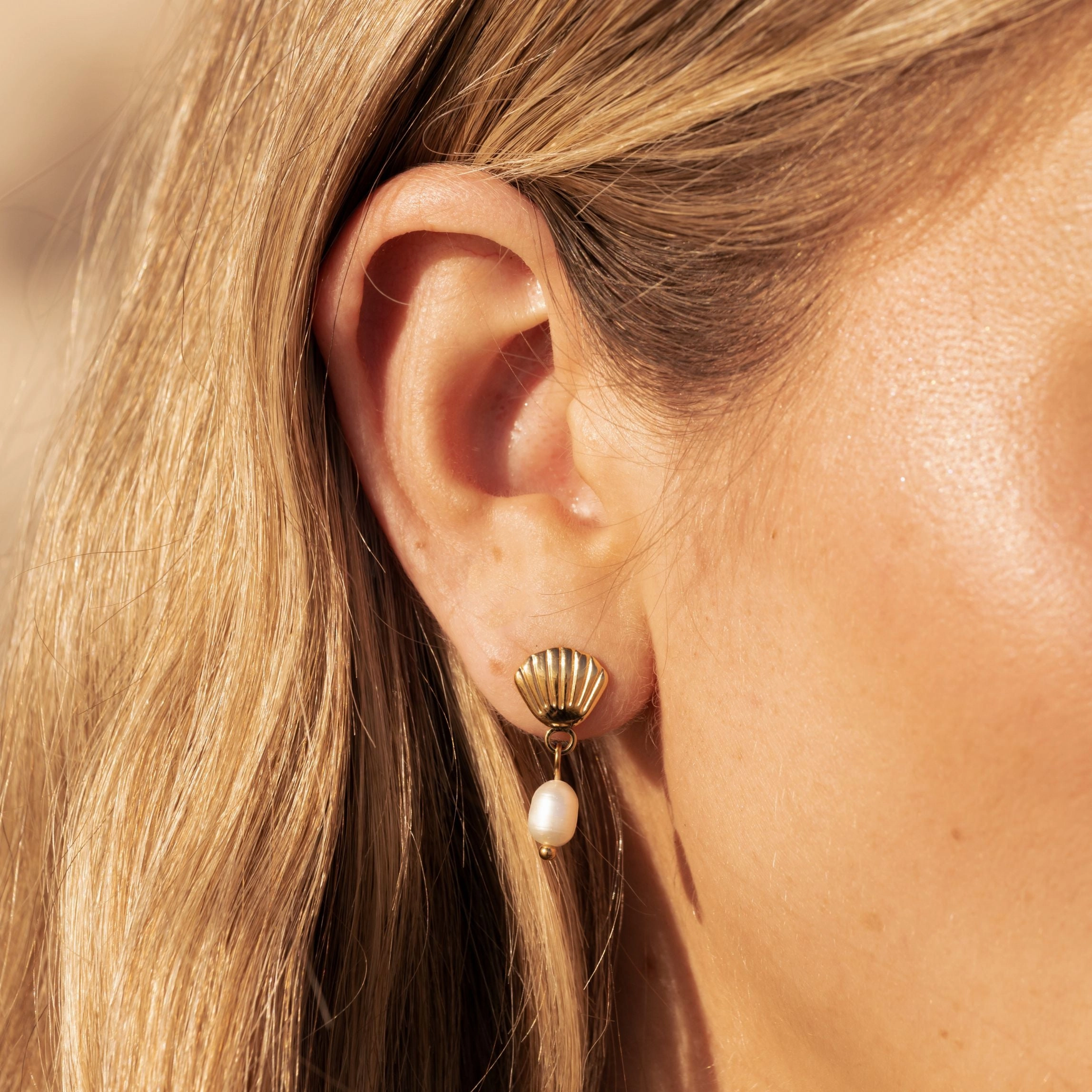 Siren Earrings Silver Edge Polished Line