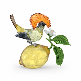 Trendy Spark Swarovski Idyllia Royal Flycatcher