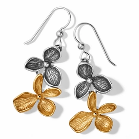 Brighton Everbloom Duo French Wire Earrings Sleek Highlight Soft Lighting
